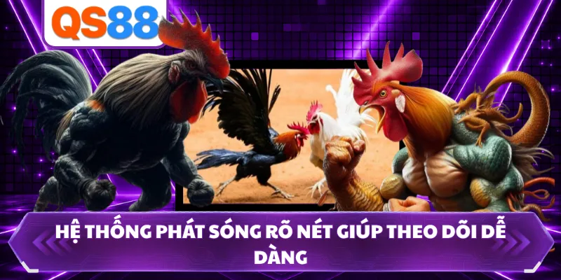 Hệ thống phát sóng rõ nét giúp theo dõi dễ dàng
